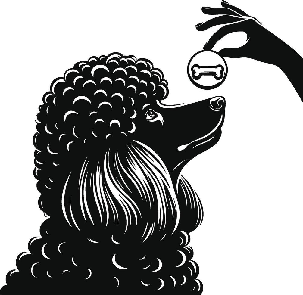 A black and white illustration of a poodle with a ball vector