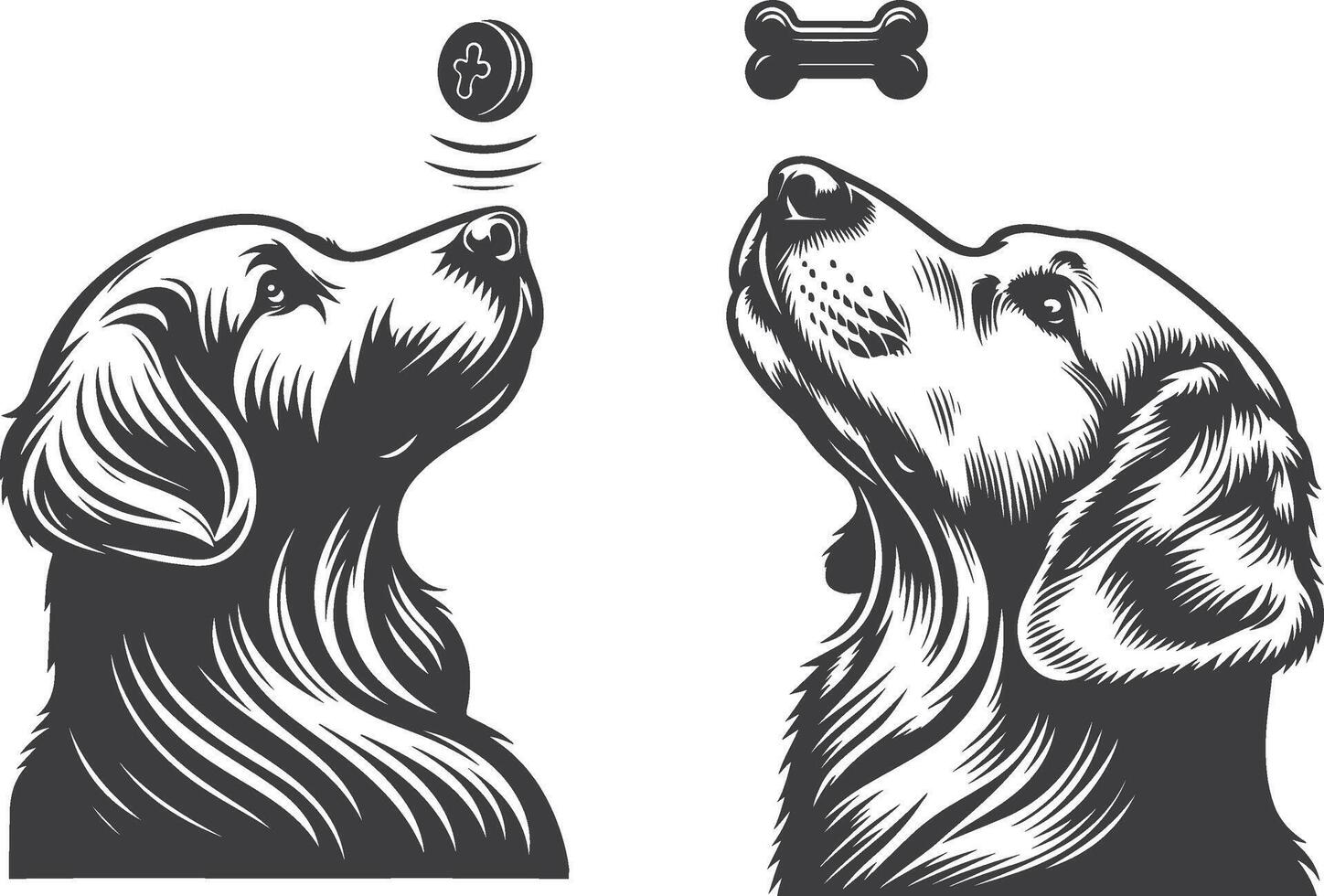 Two dogs are looking at a bone in the air vector