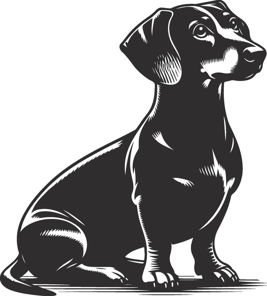 A black and white illustration of a dachshund dog vector