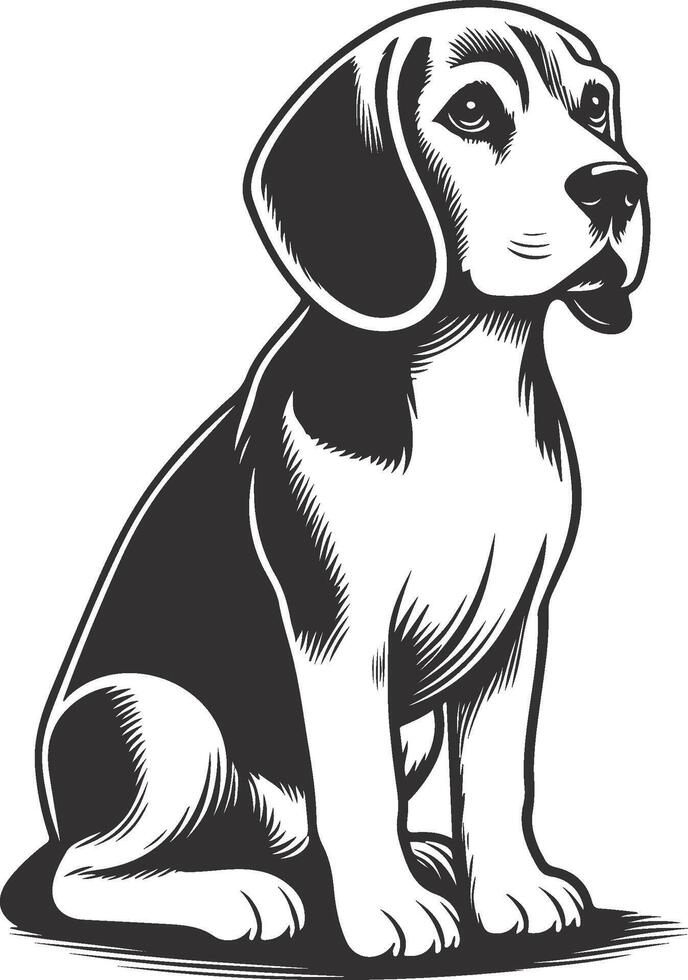 A black and white drawing of a beagle dog vector
