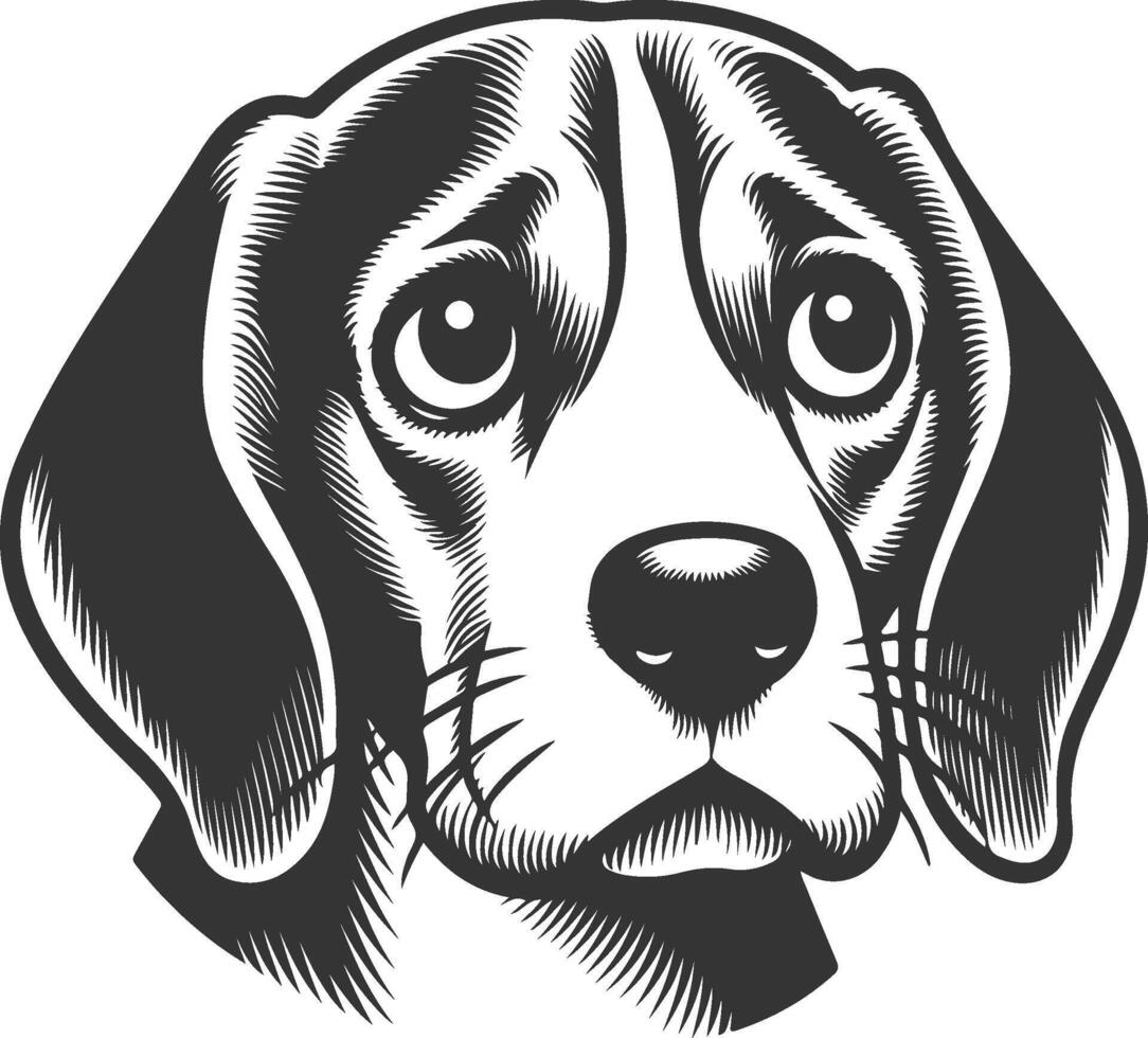Beagle dog head illustration vector