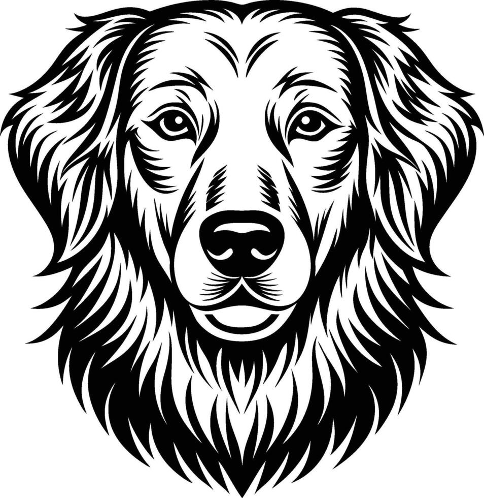 Golden retriever dog head vector