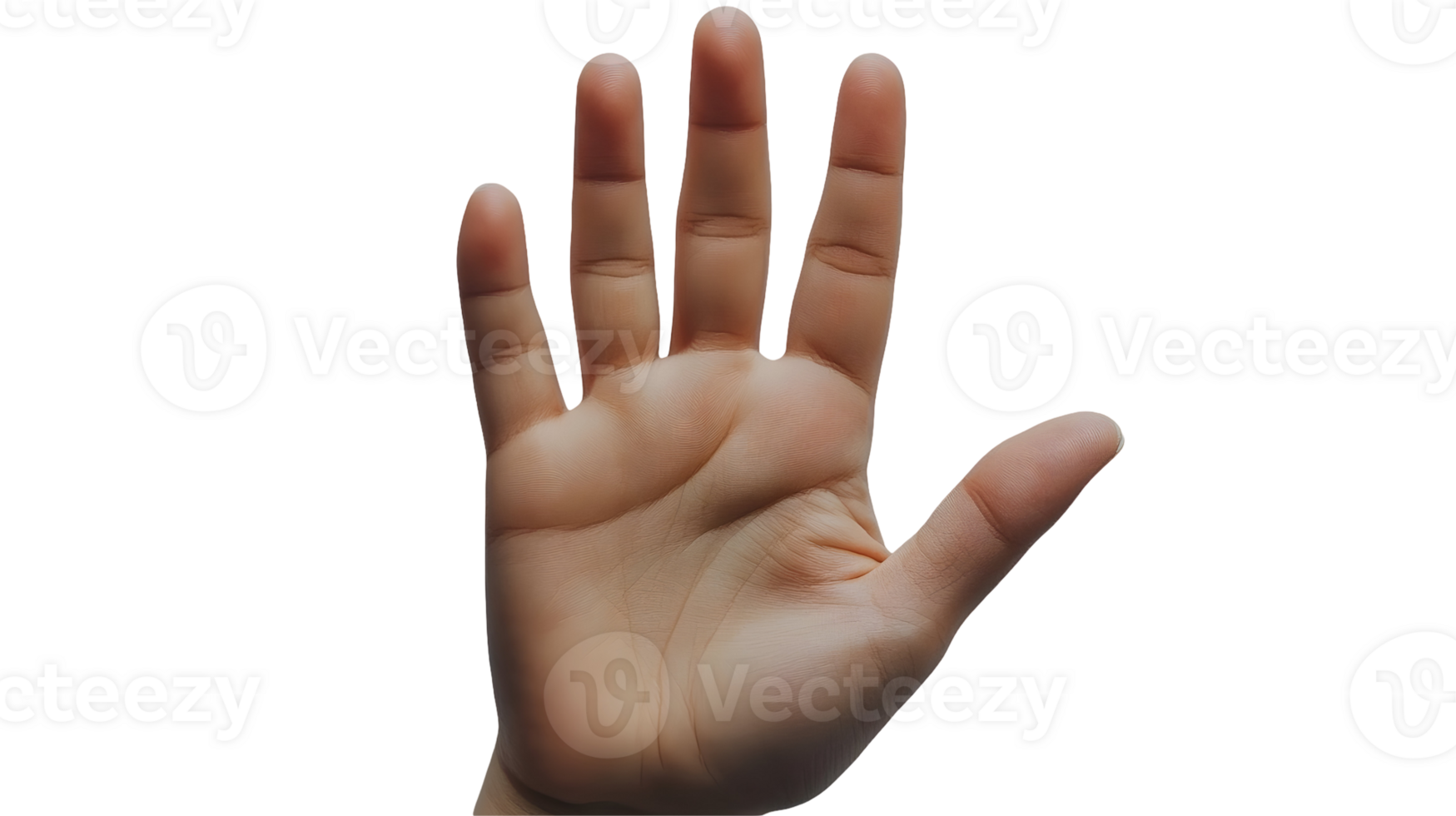 A hand is shown with fingers extended png