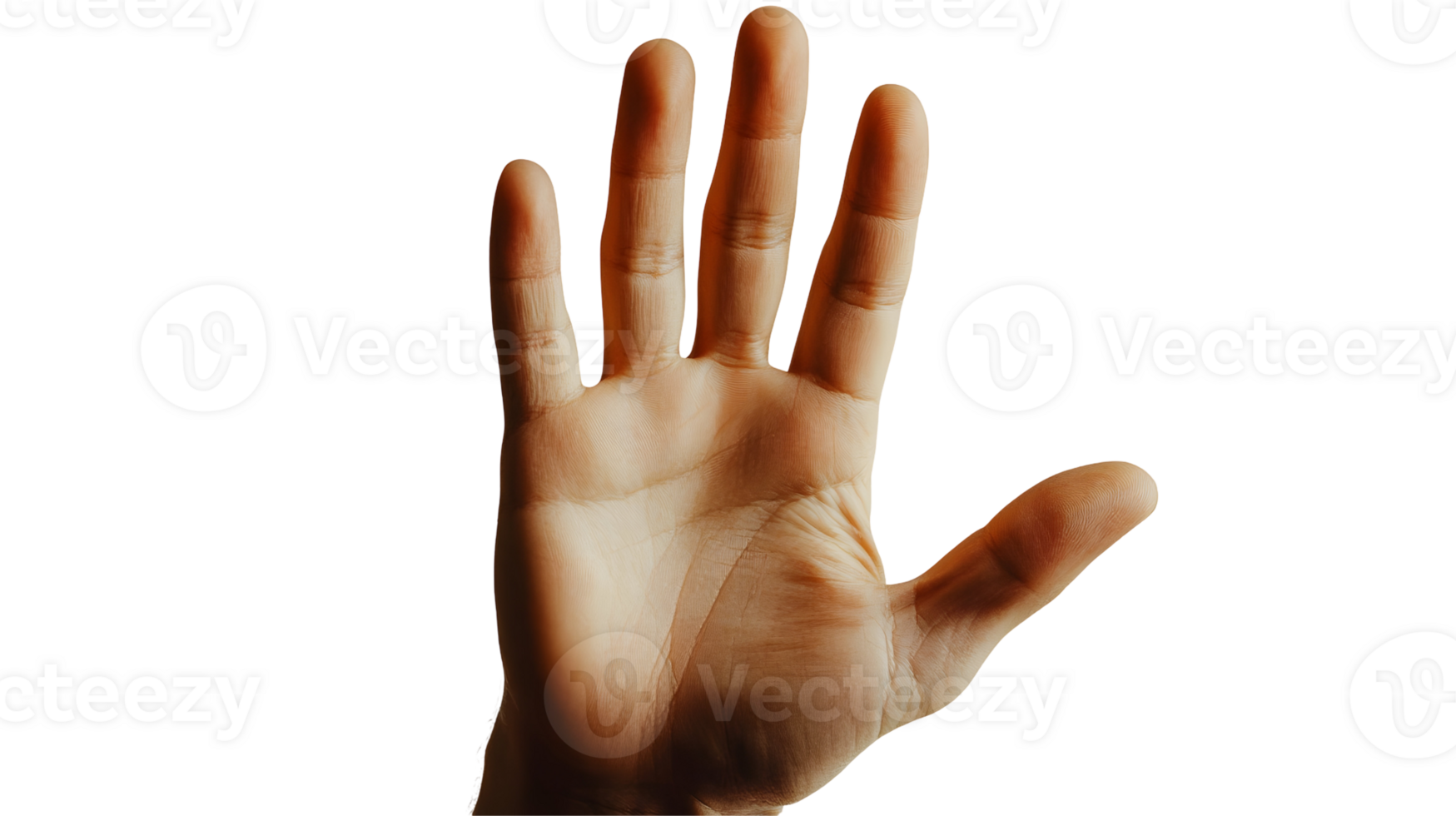 A hand with five fingers up in the air png