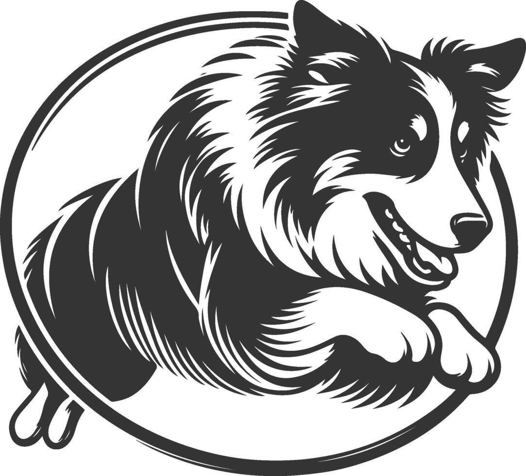 A black and white dog running in a circle vector