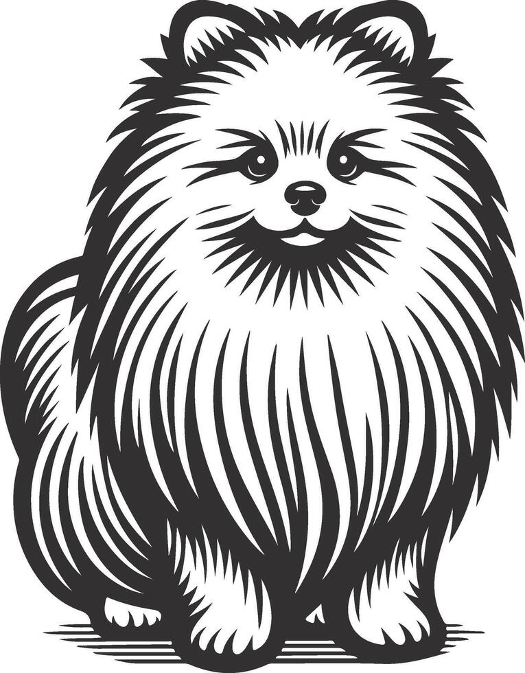 A black and white illustration of a pomeranian dog vector