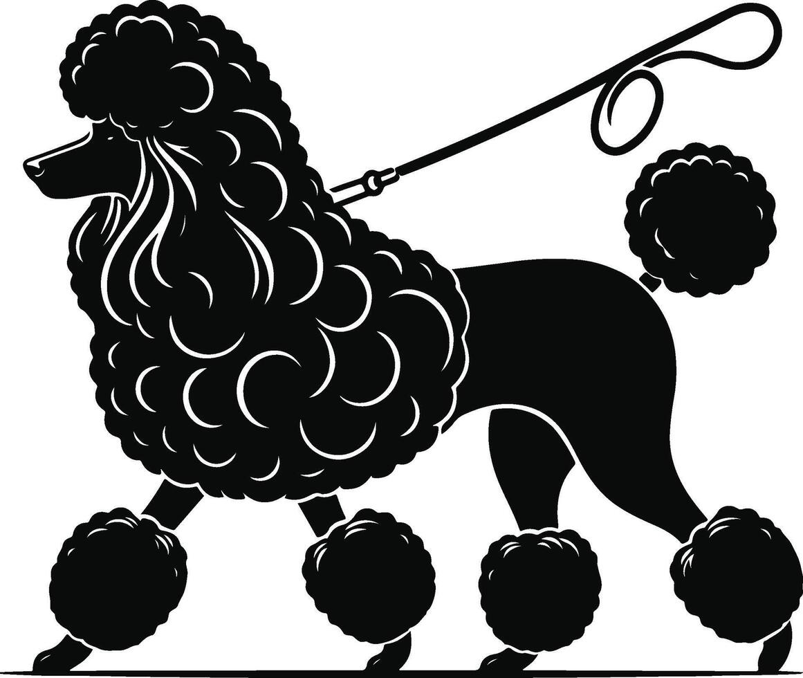 A black poodle dog with a leash and a bow vector
