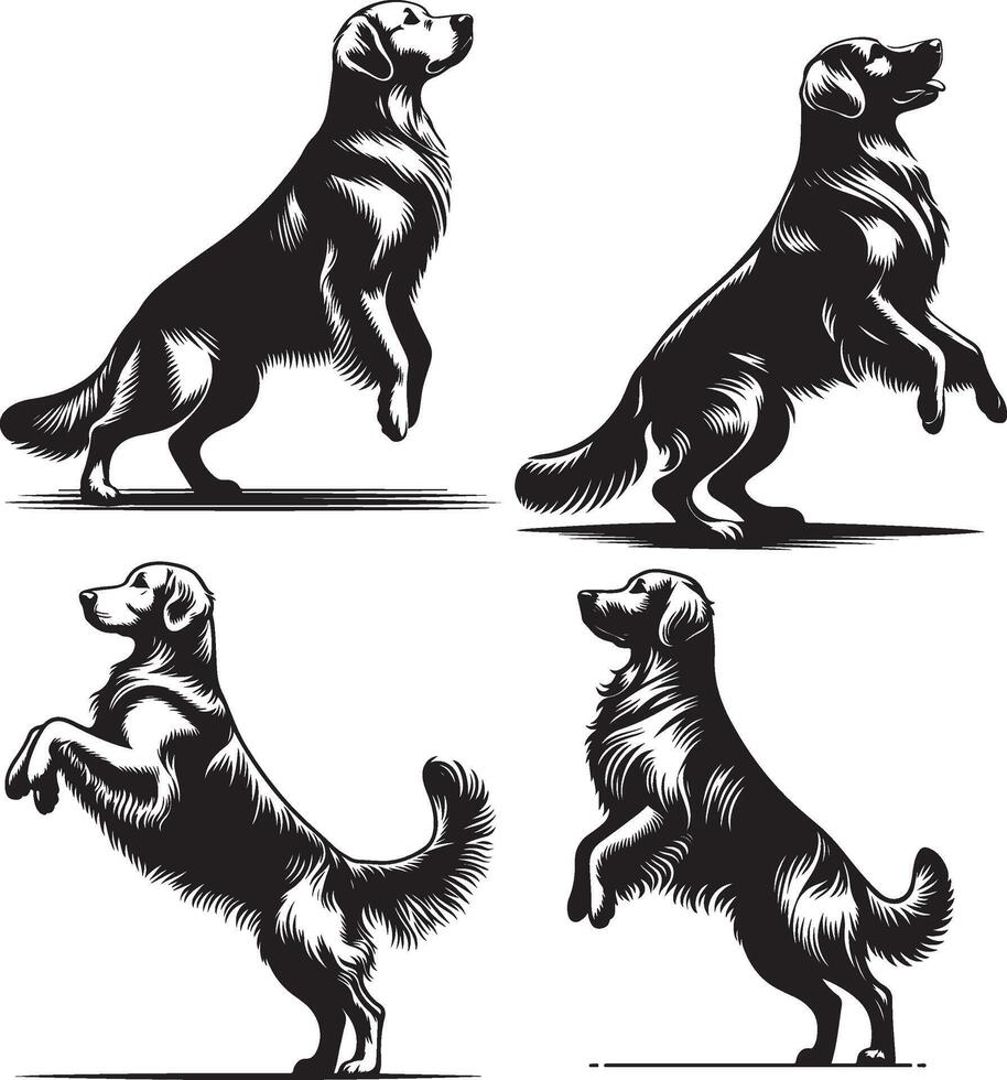 Four different dog silhouettes in different poses vector