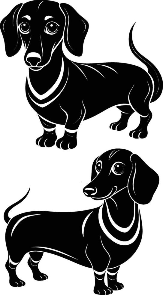 Two black dachshunds standing side by side vector