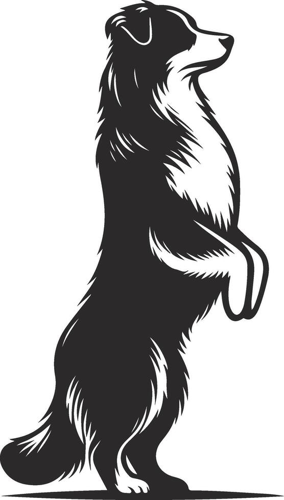 A black and white dog standing on its hind legs vector