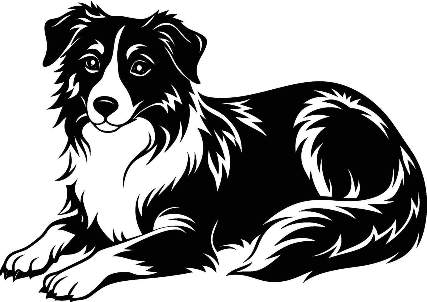Border collie dog vector