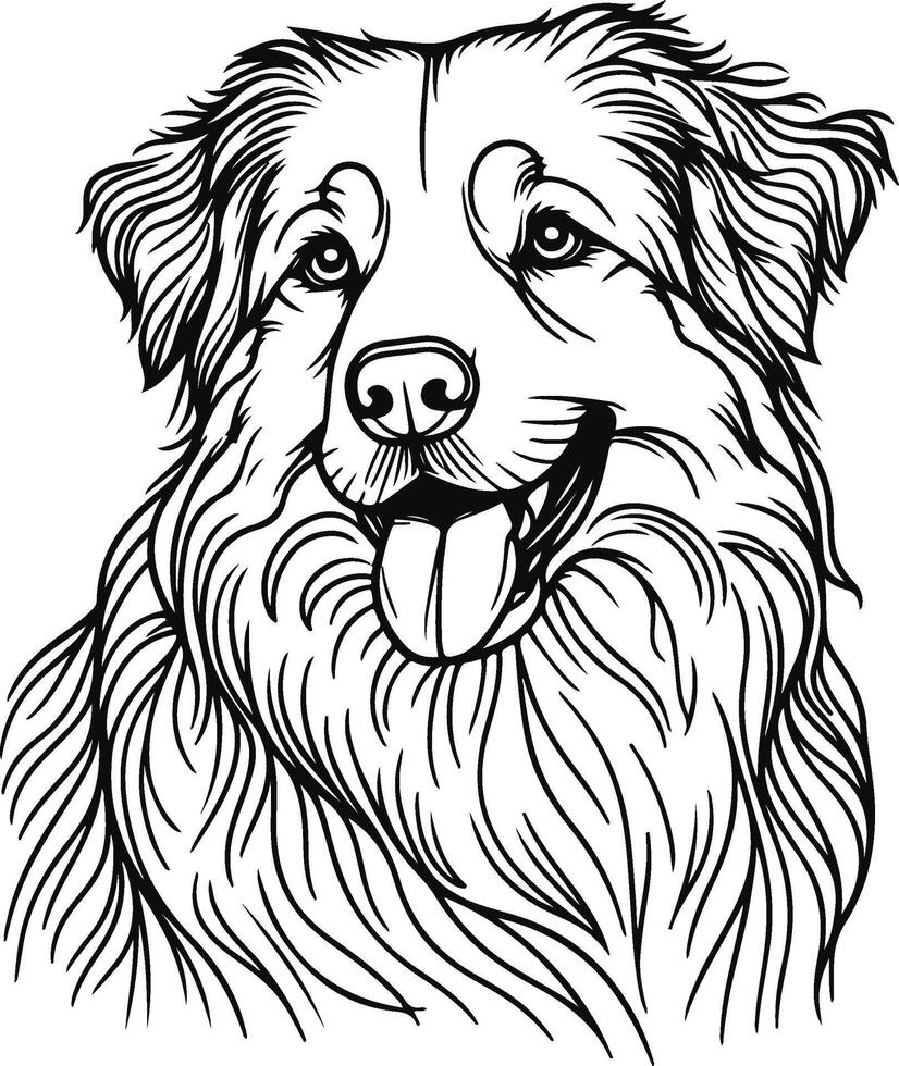 Australian shepherd coloring pages vector
