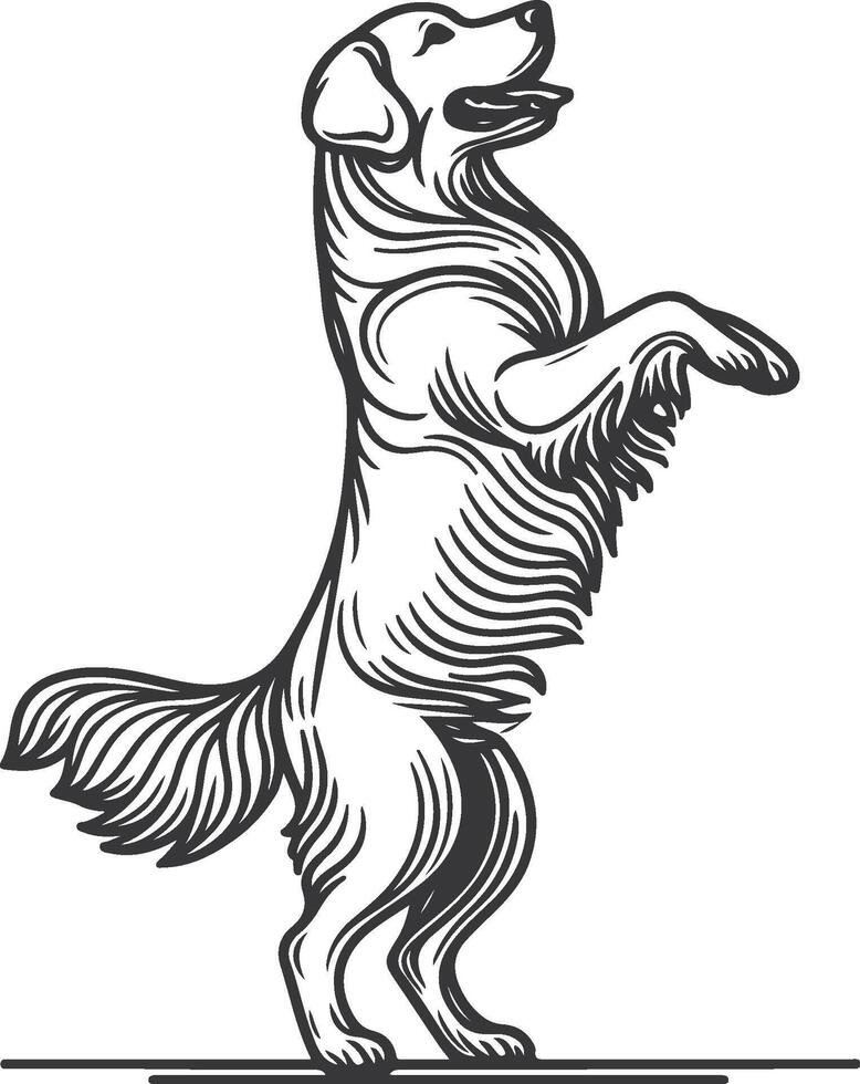 A dog standing on its hind legs with its paws up vector