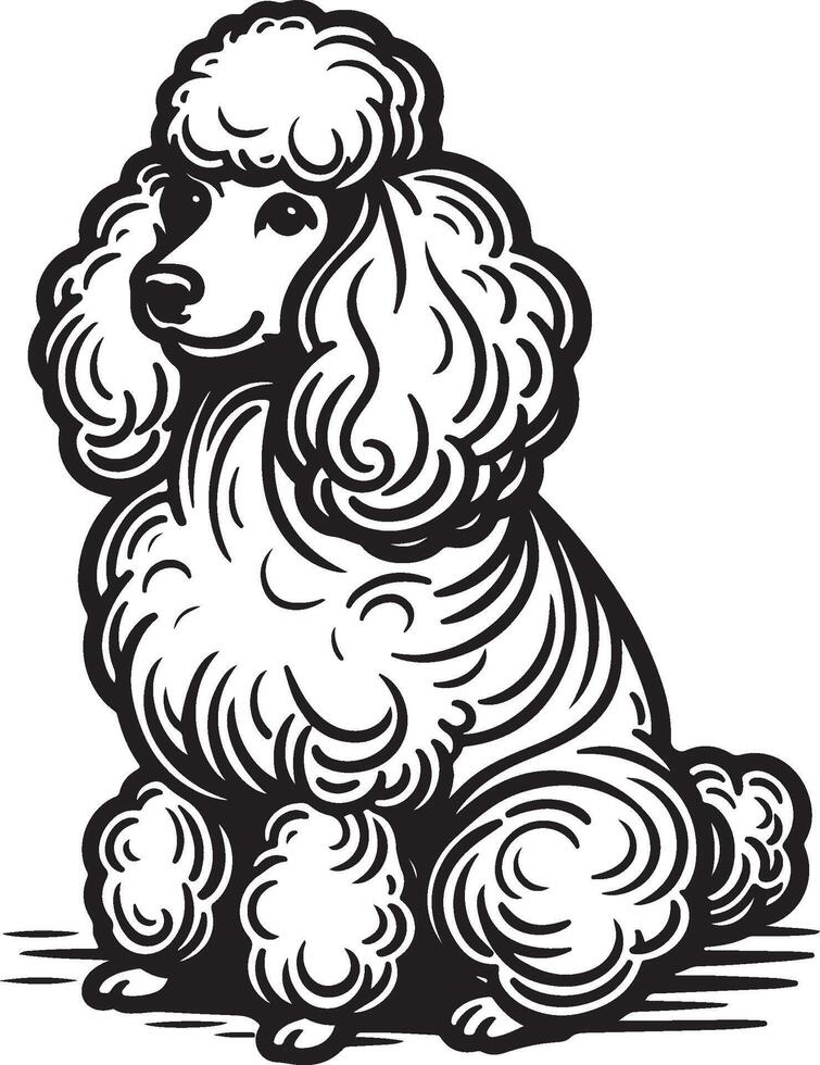 Poodle dog sitting in a black and white drawing vector