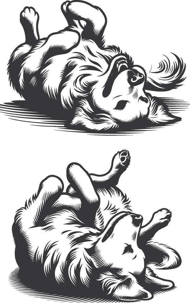 Two dogs lying on their backs with their heads up vector