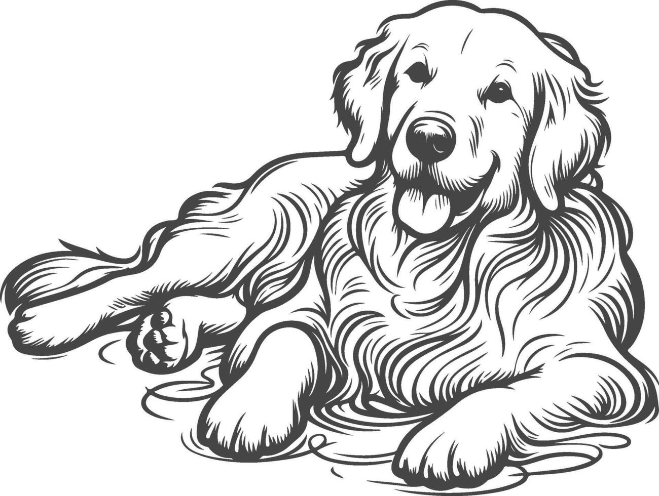 Golden retriever coloring pages vector