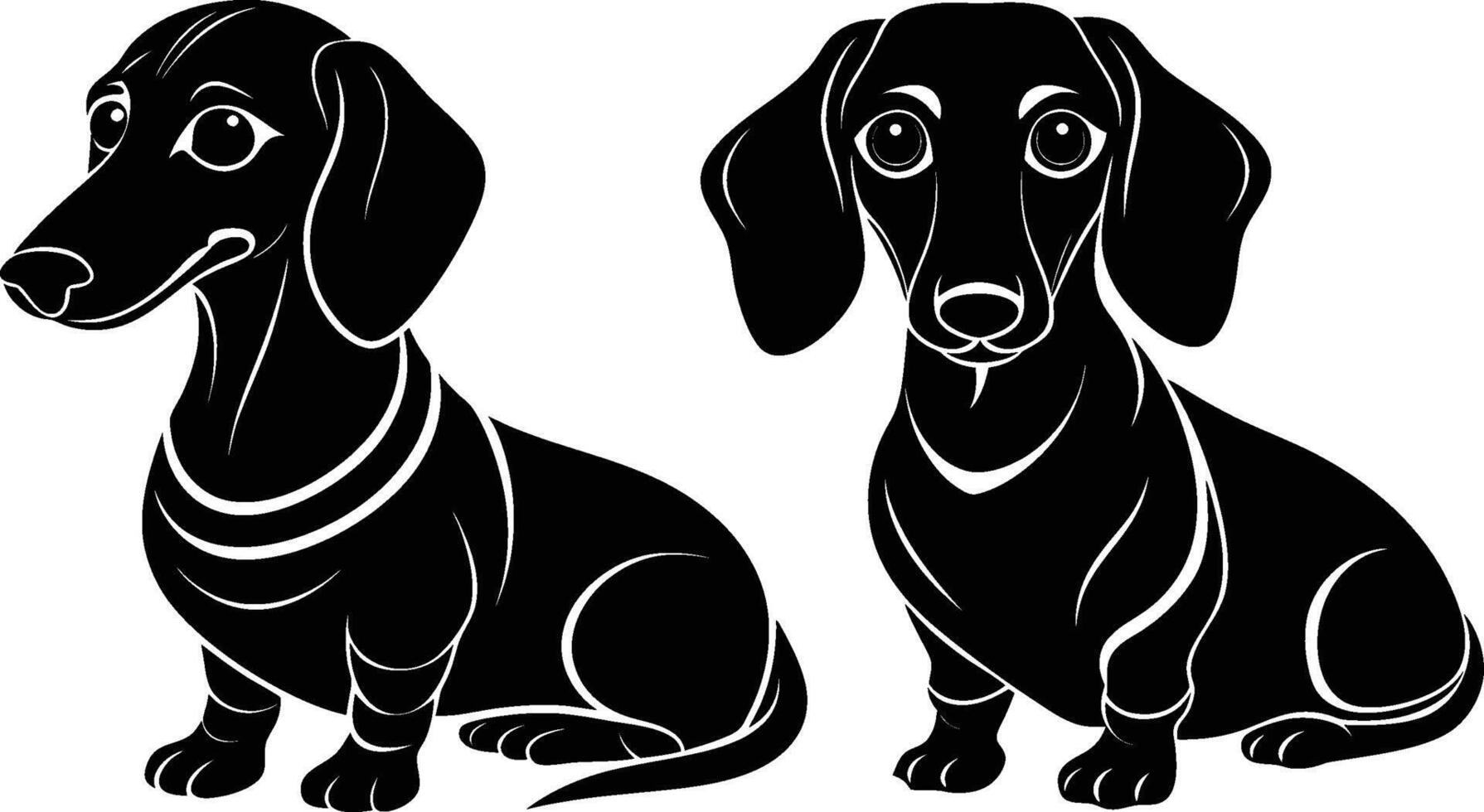 Two black and white dachshunds sitting side by side vector