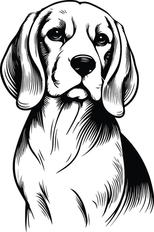 line art beagle dog, Beagle line drawing, art,illustrations vector