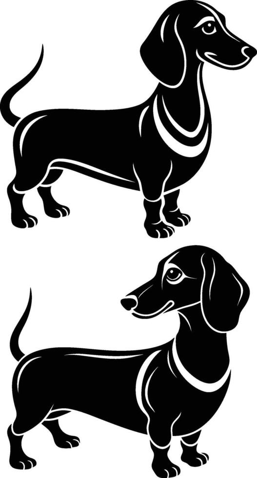 Two dachshunds in black and white vector