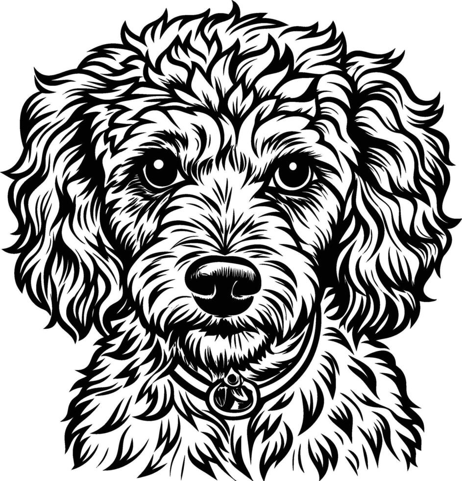 A black and white drawing of a poodle dog vector