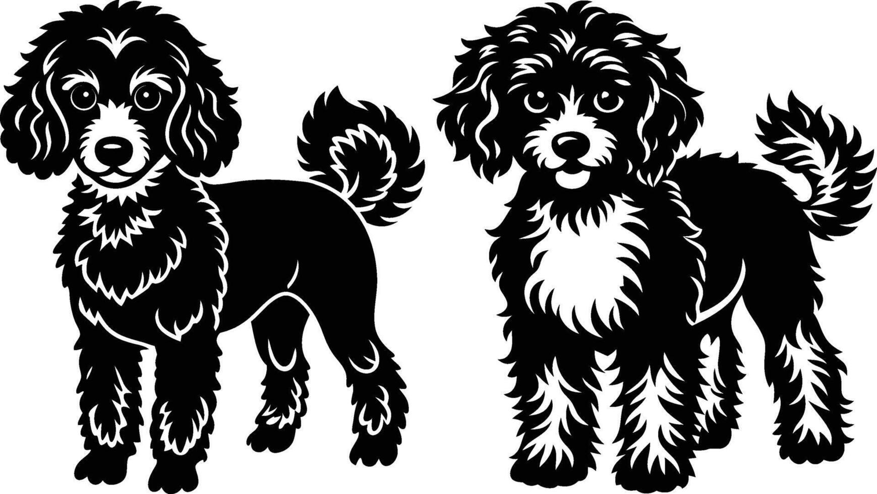 Two poodle dogs standing side by side vector