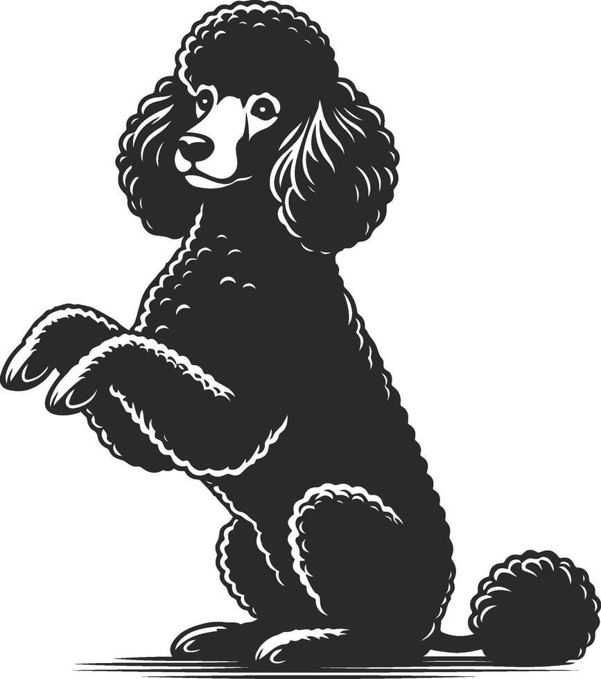 A black and white illustration of a poodle sitting vector