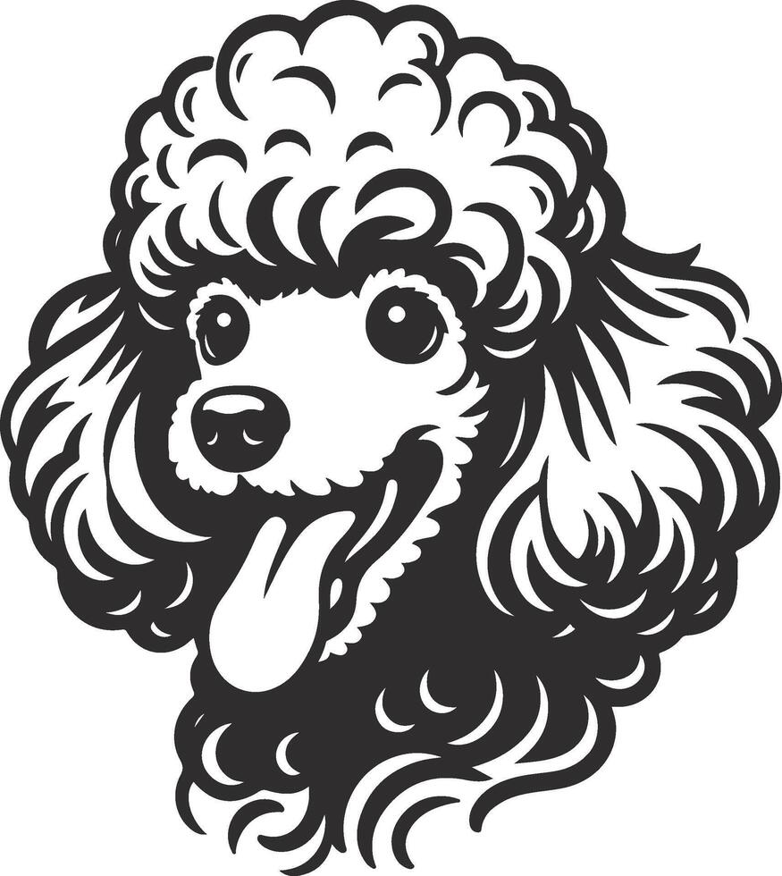 A poodle dog is shown in a black and white drawing vector