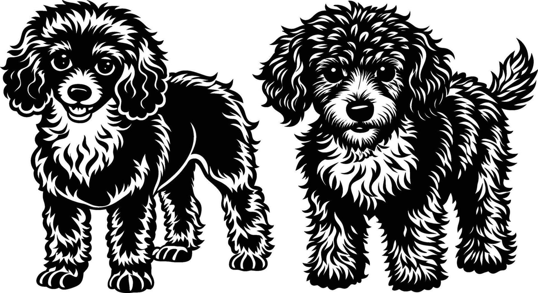 Two poodle dogs standing side by side vector