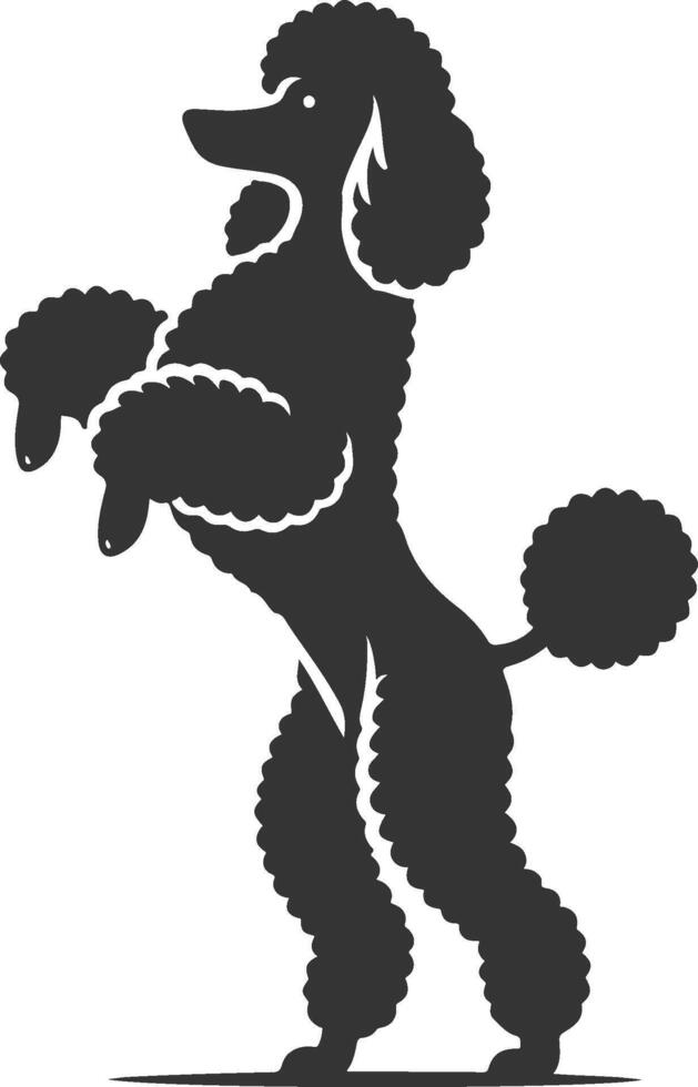 A silhouette of a poodle dog standing on its hind legs vector