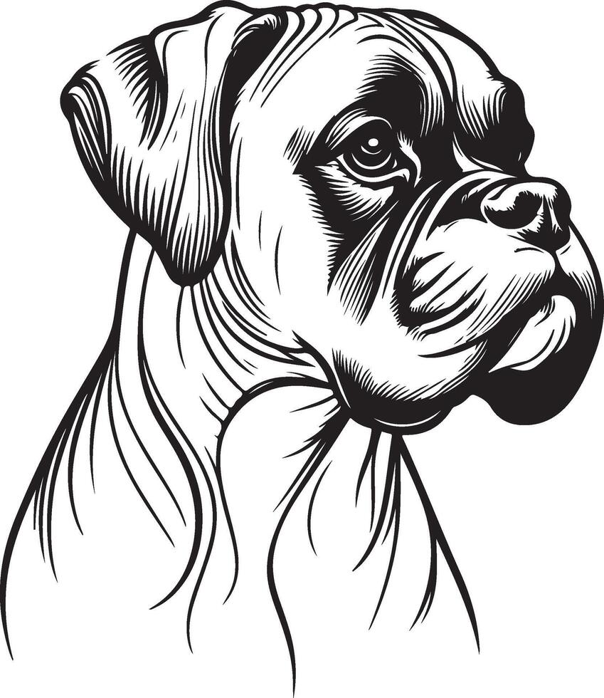 A black and white drawing of a boxer dog vector