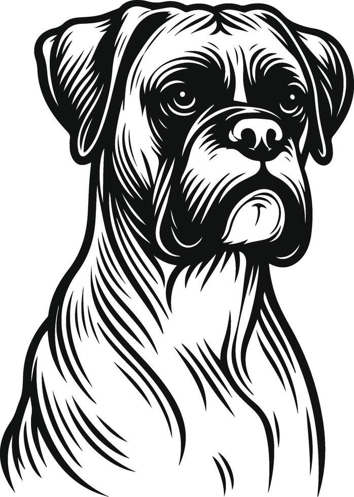 A black and white drawing of a boxer dog vector