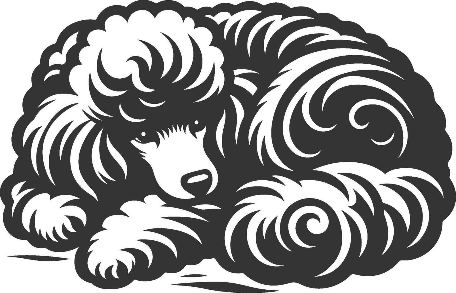 A black and white illustration of a poodle vector
