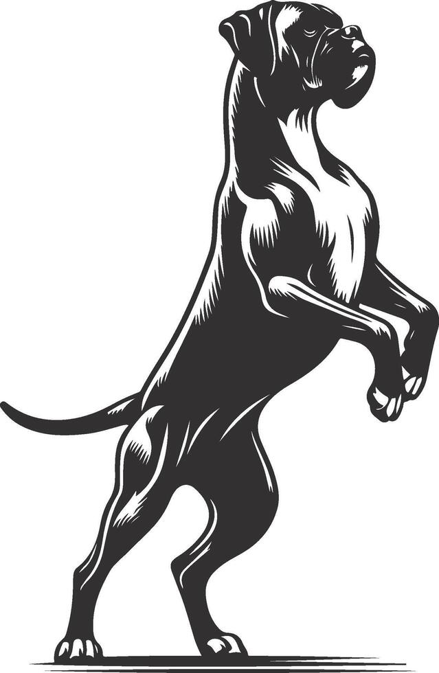 A black and white illustration of a boxer dog vector