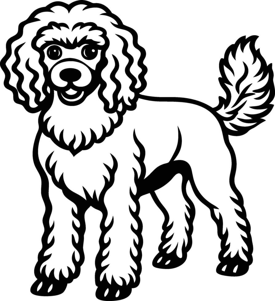 A poodle dog is standing in a black and white drawing vector