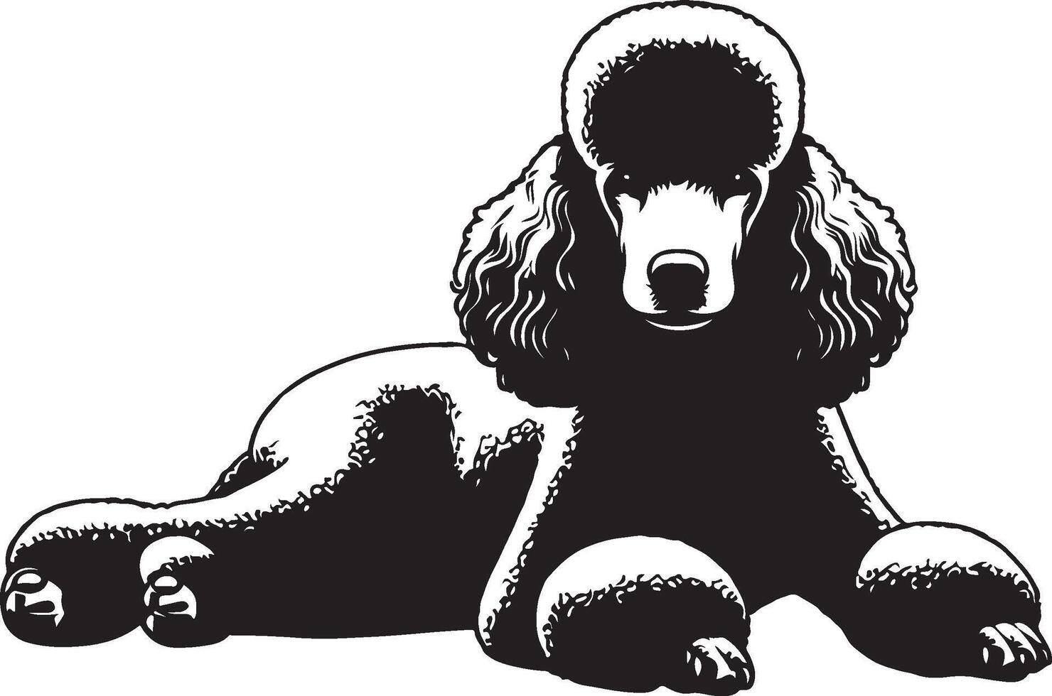 A black and white poodle sitting down vector