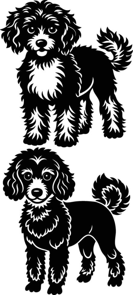 Two black and white poodle dogs vector