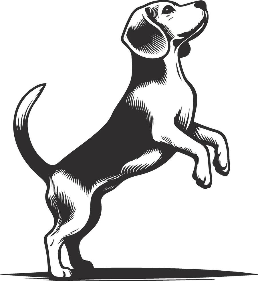 Beagle dog standing on hind legs illustration vector