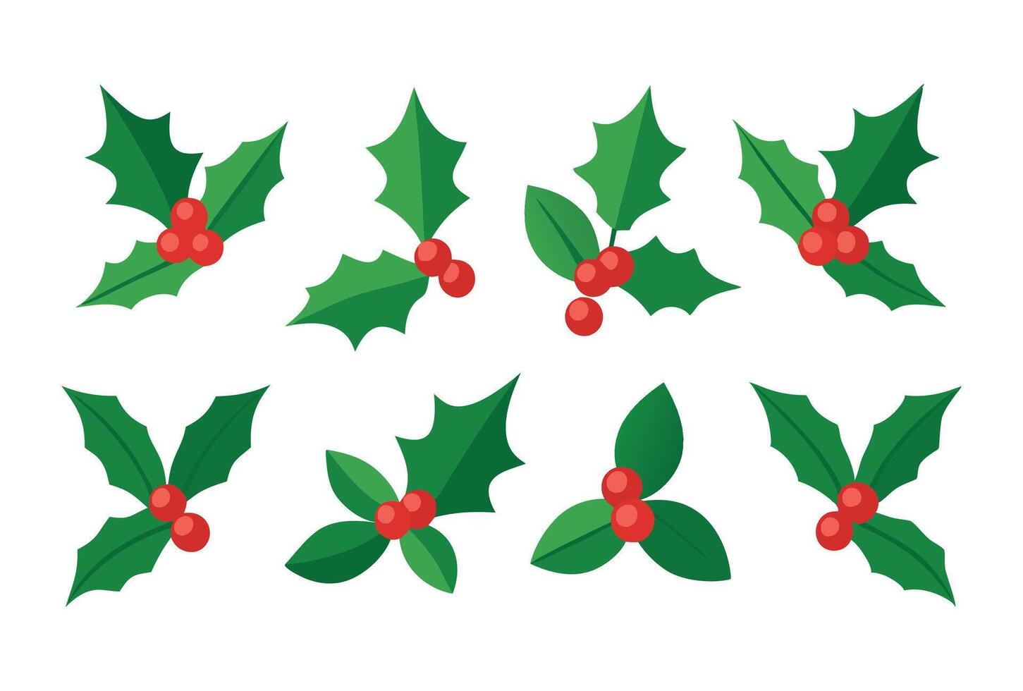 Christmas holly leaves and berries set vector