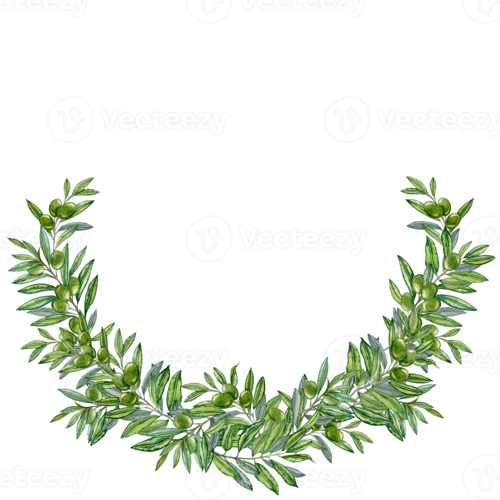 Hand painted aquarelle Half-vignette of Olive Branches png