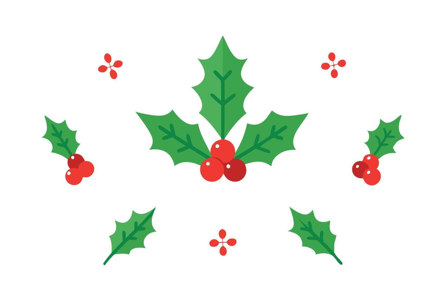 Christmas holly leaves and berries on white background vector