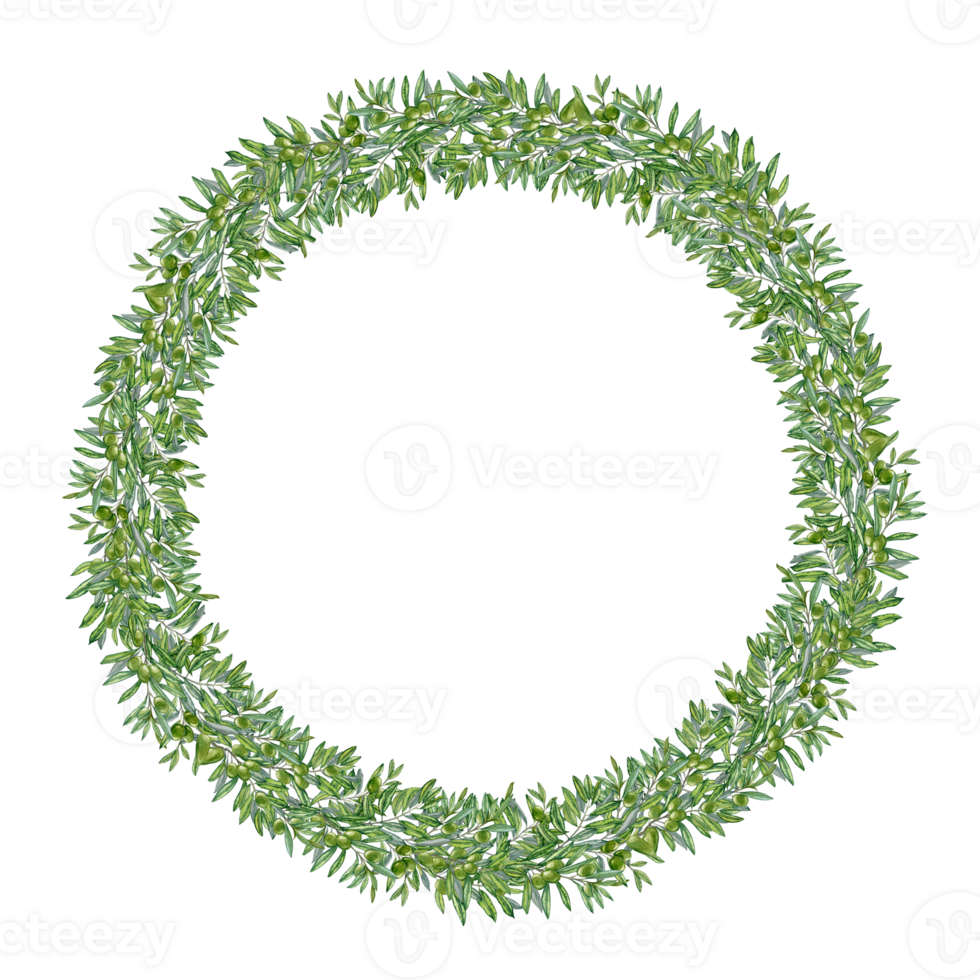Circle Vignette of green leaved olive Branches png
