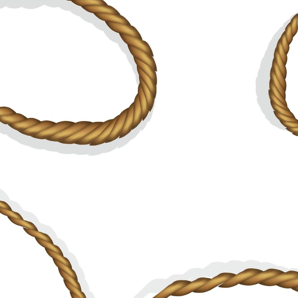 Brown Rope with White Background vector