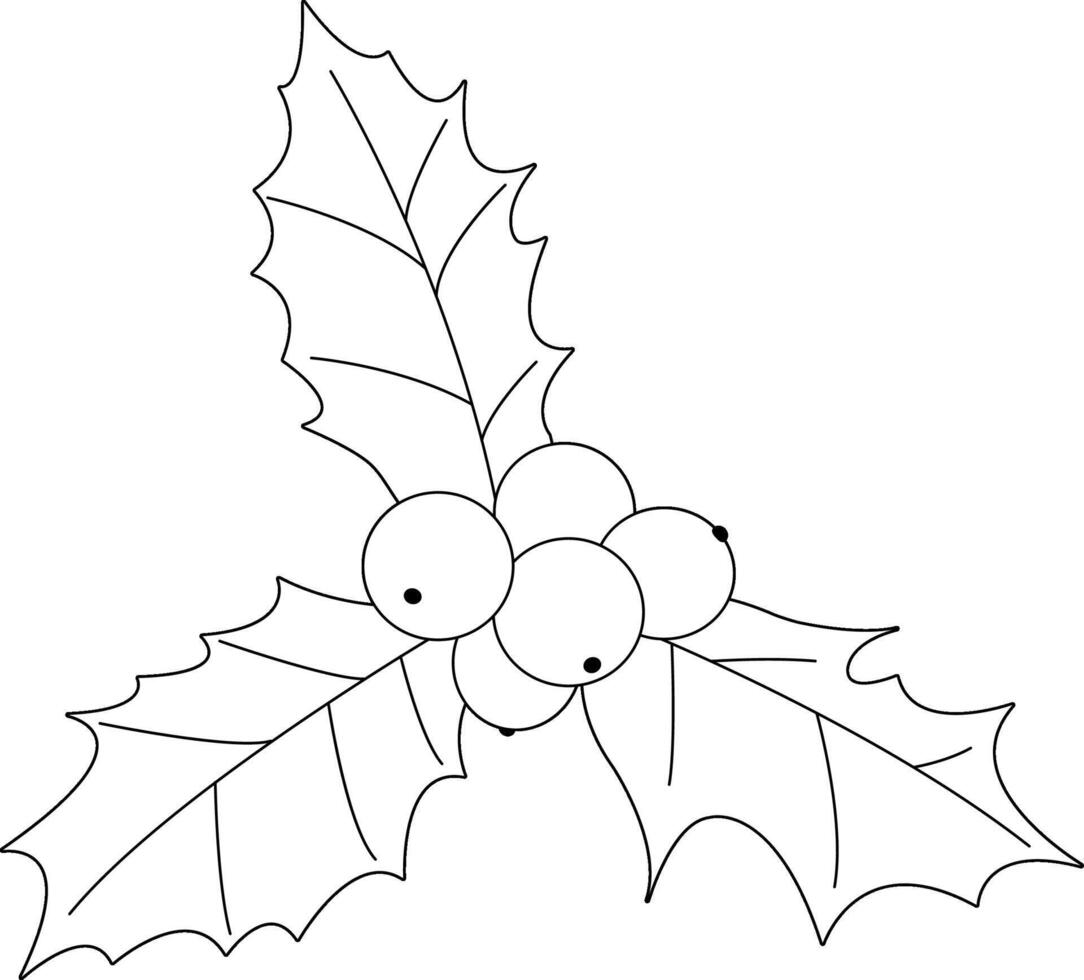 Holly berry sprig on white background. Holly green leaves and red berries Xmas ornament. Black and white coloring page. vector