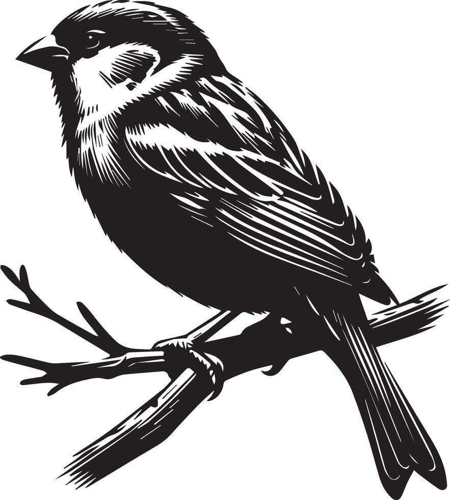 black and white illustration of a bird sitting on a branch vector