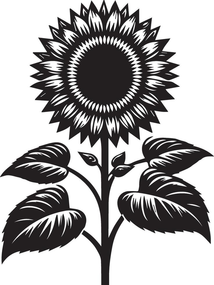 a black and white sunflower with leaves vector