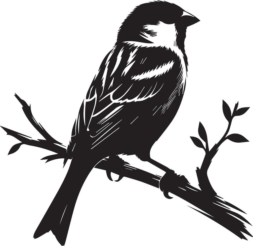 bird on branch silhouette illustration vector
