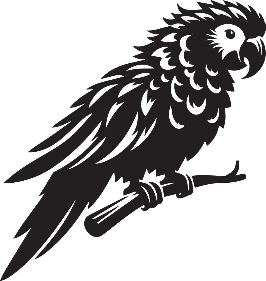 a black and white illustration of an african parrot vector