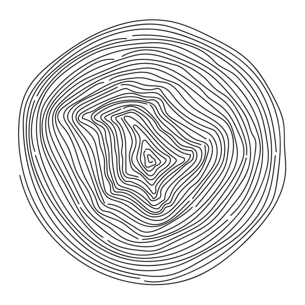 Organic shape of annual wood tree line ring. Circle with wood texture. Relief wave contour surface. vector