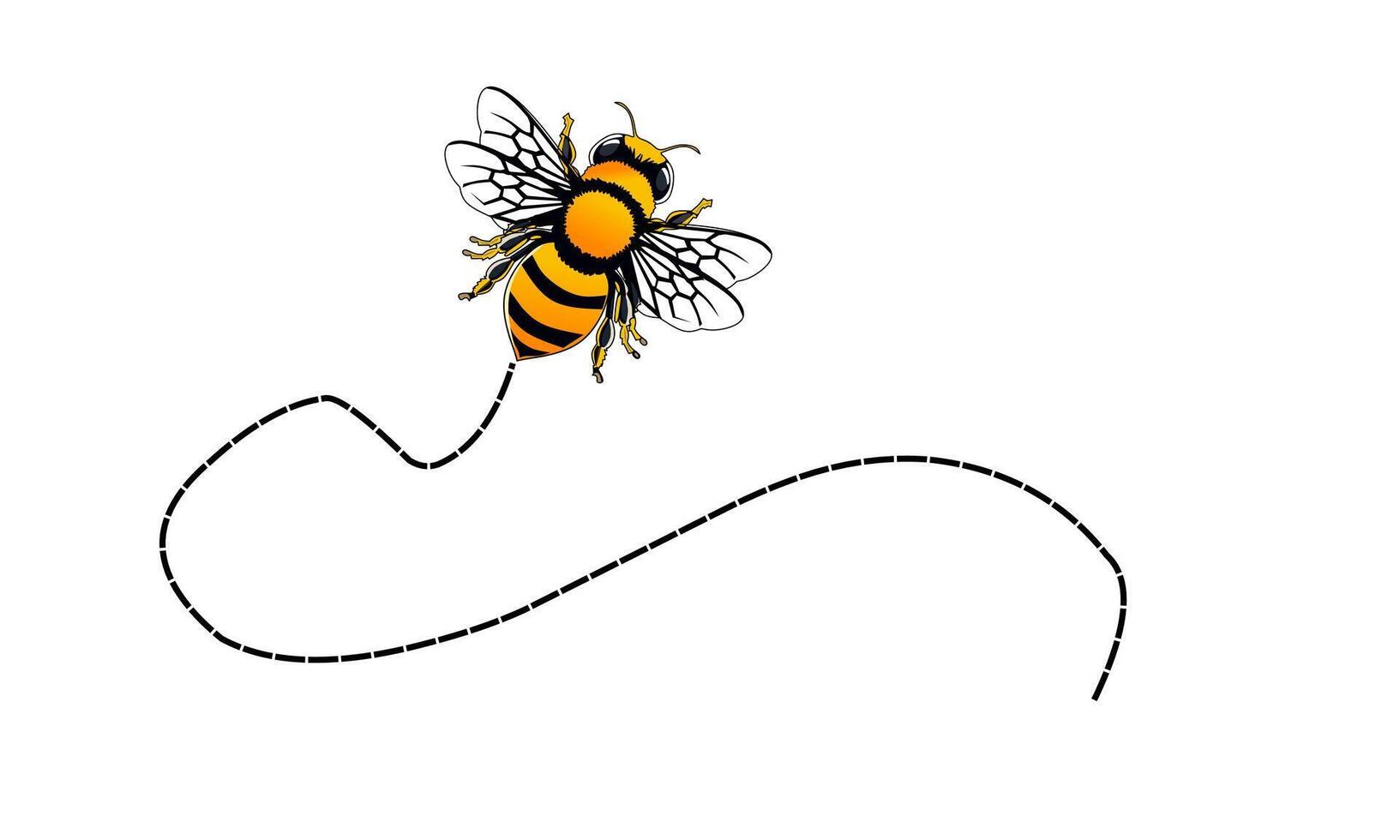 a bee flying with a line vector