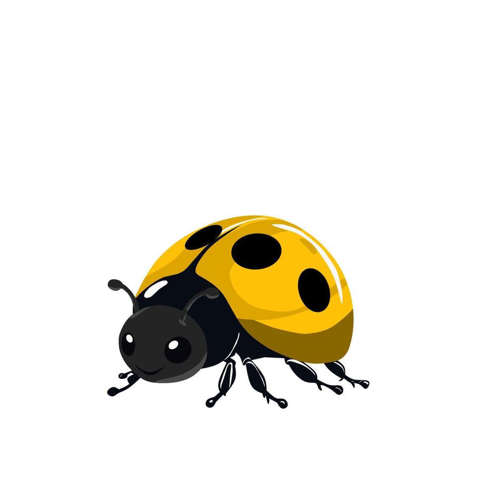 a ladybug is sitting on white background vector